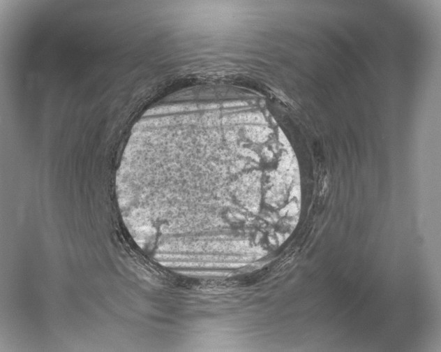 X0000053131153200508081310