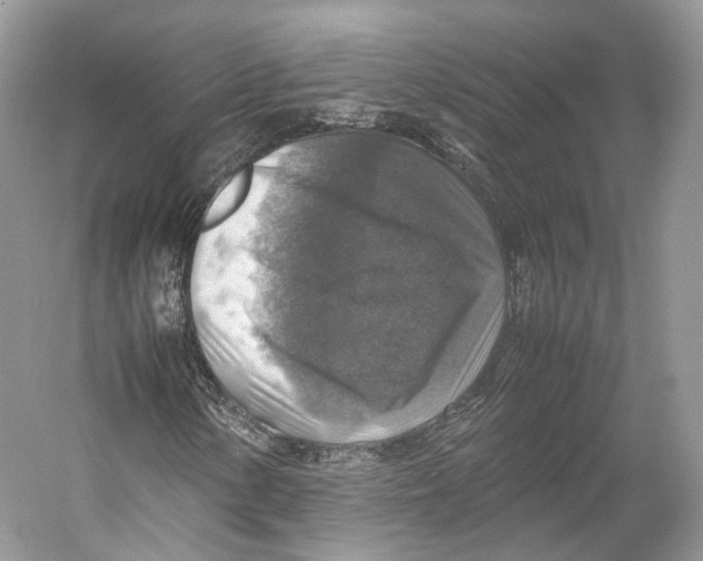 X0000053131154200508081310