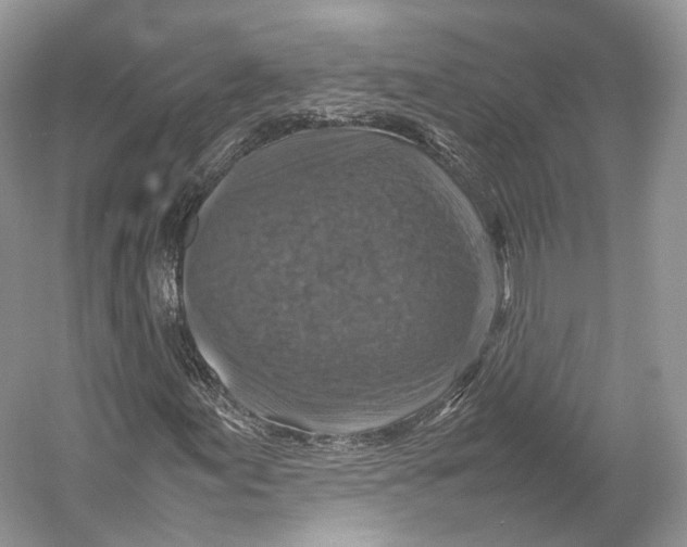 X0000053131155200508081310