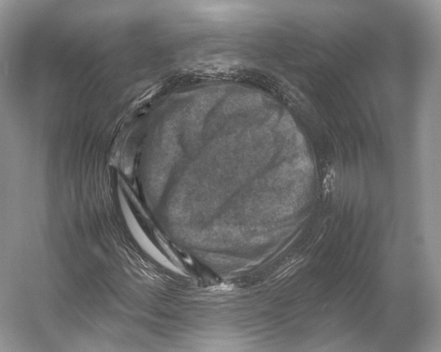 X0000053131156200508081310