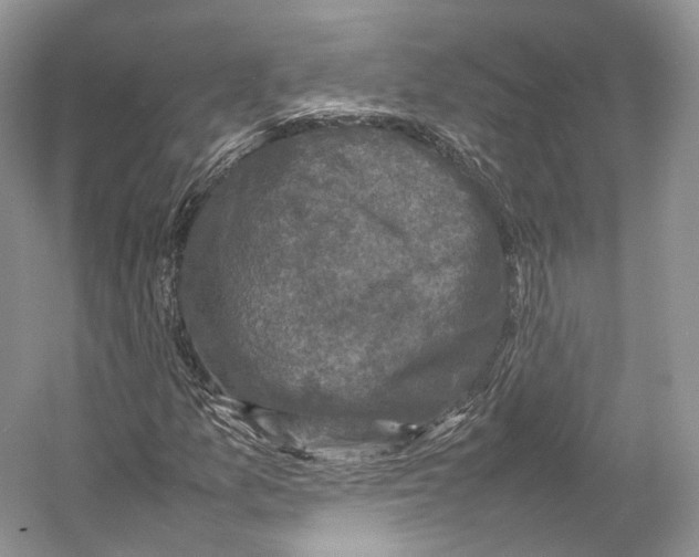 X0000053131157200508081310
