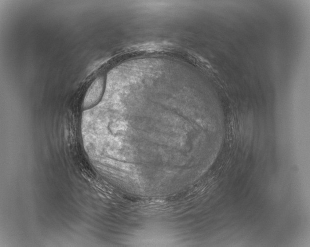 X0000053131158200508081310