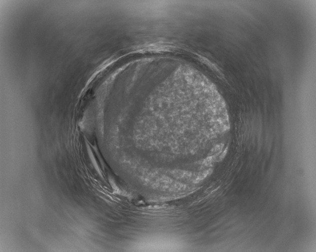 X0000053131160200508081310