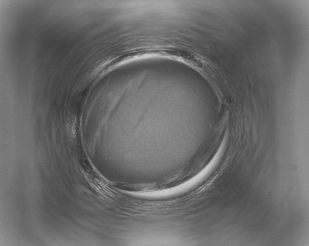X0000053131161200508081310