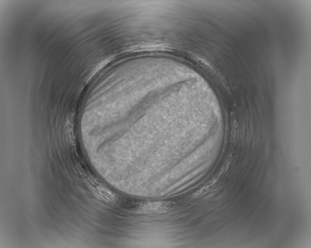 X0000053131162200508081310