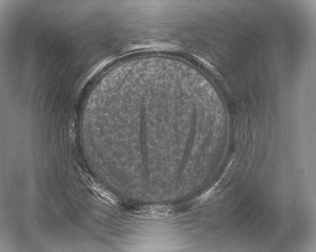X0000053131163200508081310