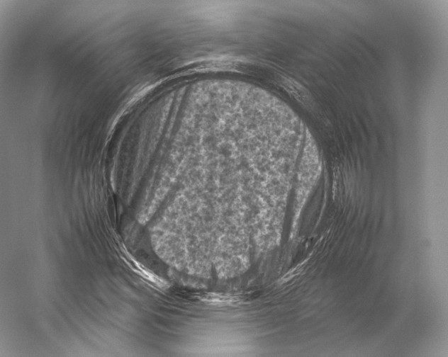 X0000053131164200508081310