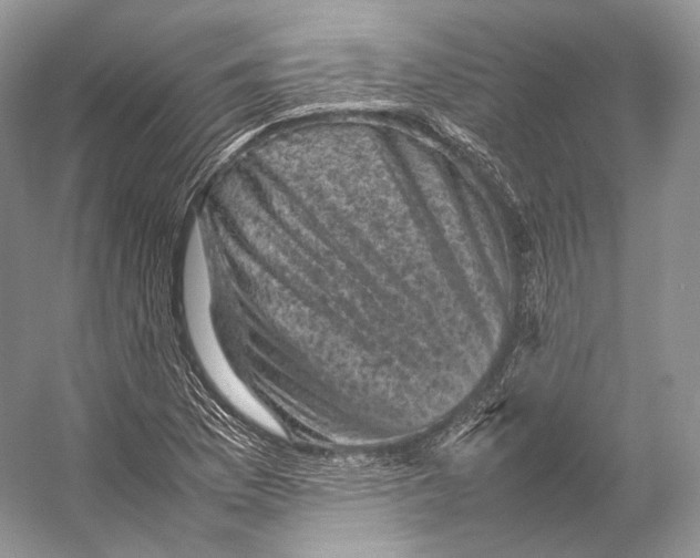 X0000053131169200508081310