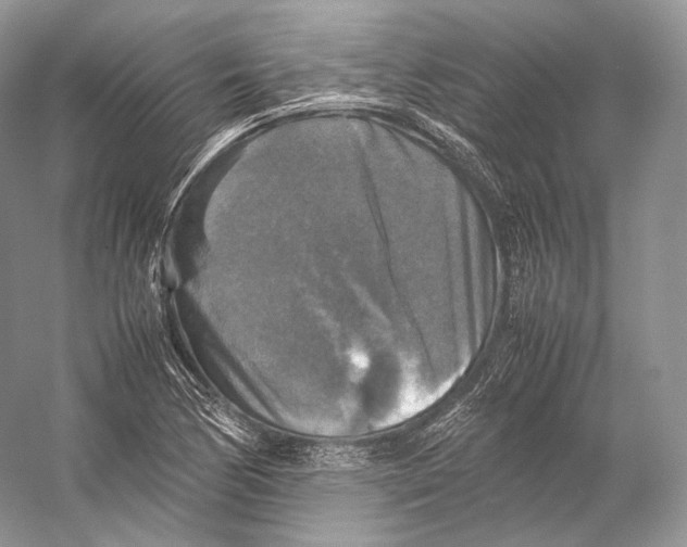 X0000053131170200508081310