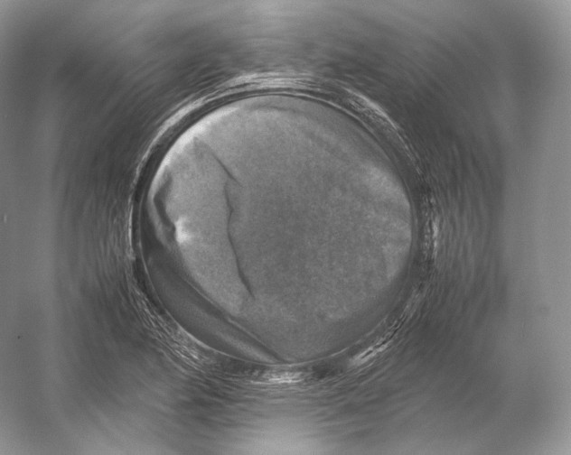 X0000053131174200508081310