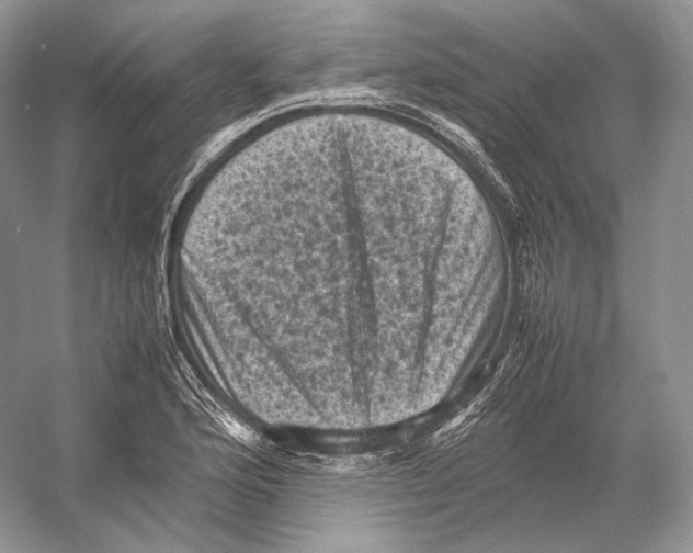 X0000053131176200508081310