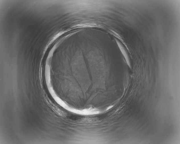 X0000053131179200508081310