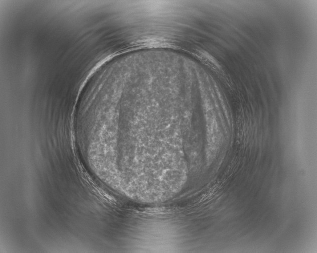 X0000053131182200508081310