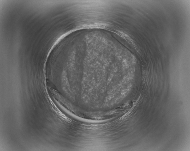 X0000053131184200508081310
