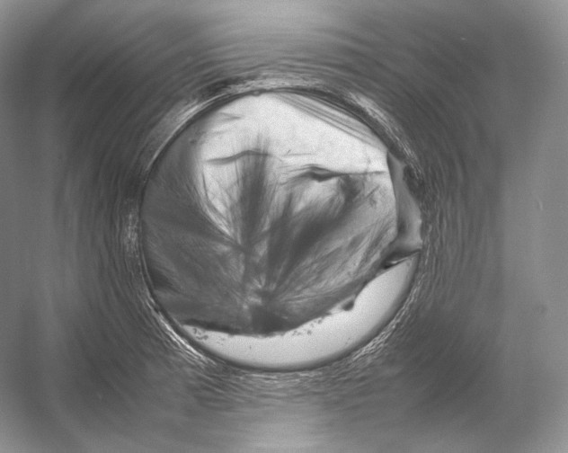 X0000053131185200508081310