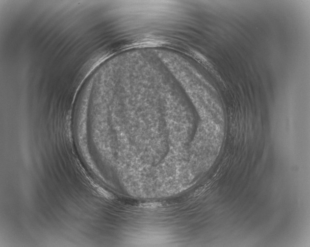 X0000053131186200508081310