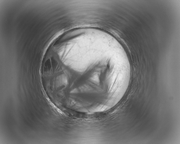 X0000053131189200508081310