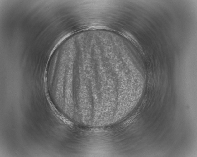 X0000053131190200508081310