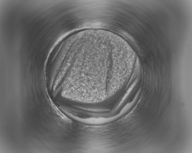 X0000053131192200508081310