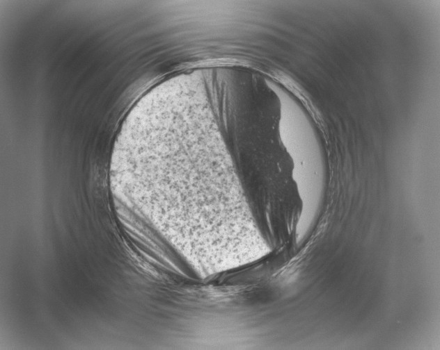 X0000053131193200508081310