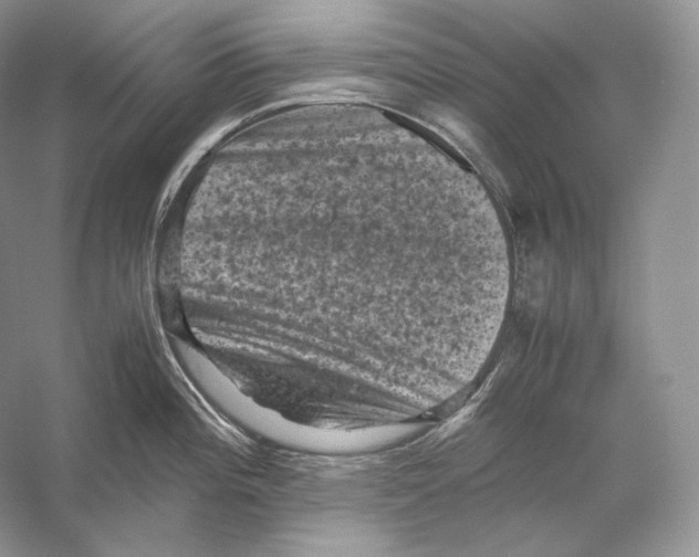 X0000053131196200508081310