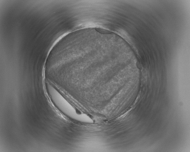X0000053131198200508081310
