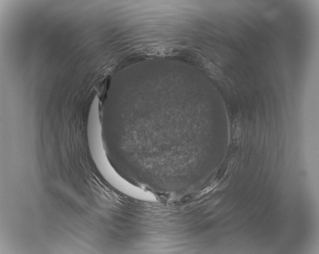 X0000053131202200508081309