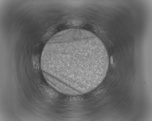 X0000053131203200508081309