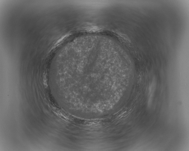 X0000053131205200508081309