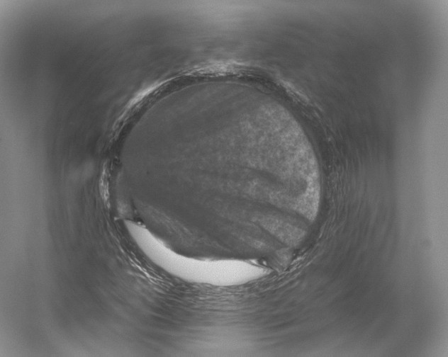 X0000053131206200508081309