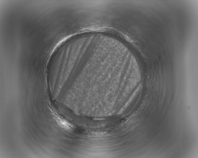 X0000053131214200508081309