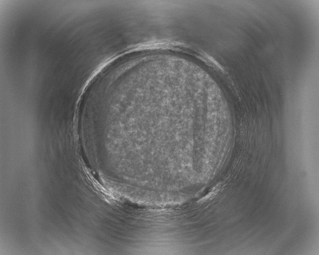 X0000053131216200508081309