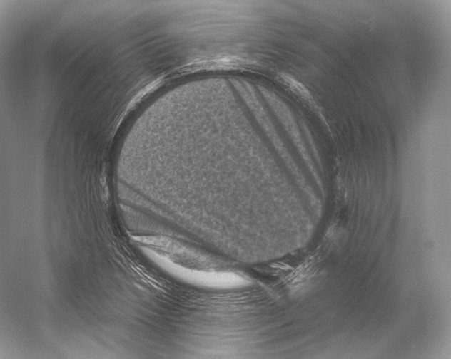 X0000053131218200508081309