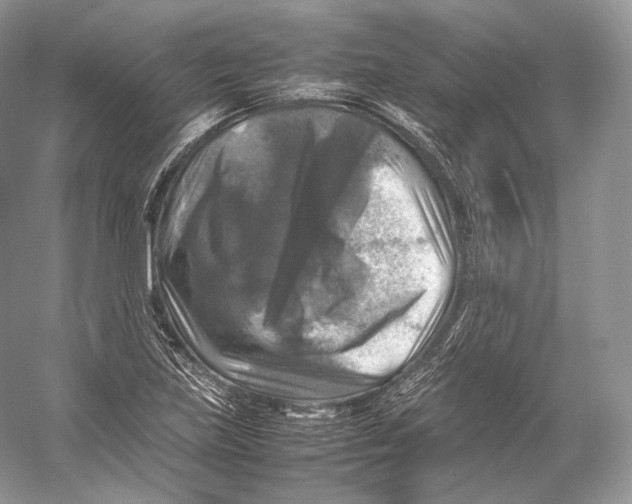 X0000053131219200508081309