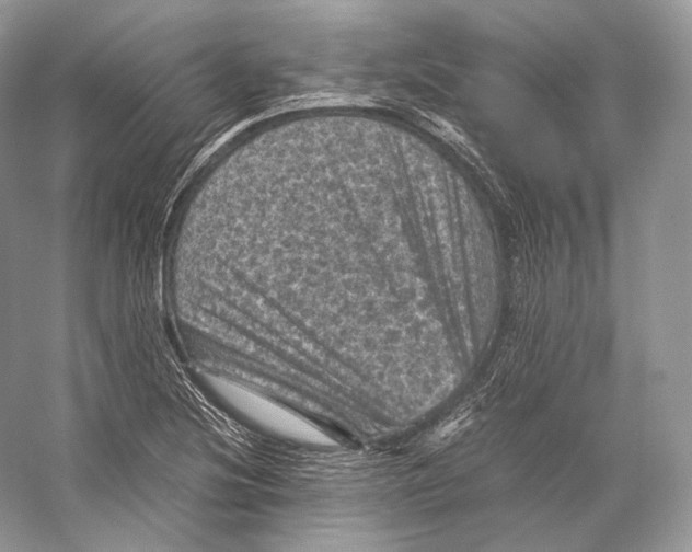 X0000053131220200508081309