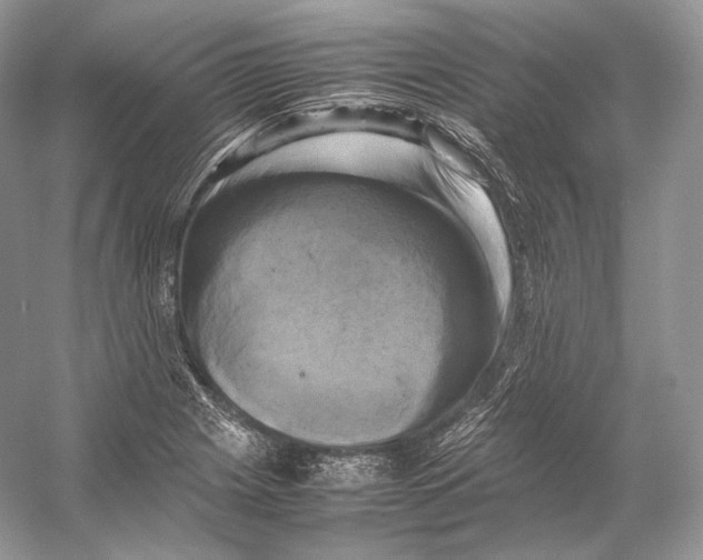 X0000053131225200508081309