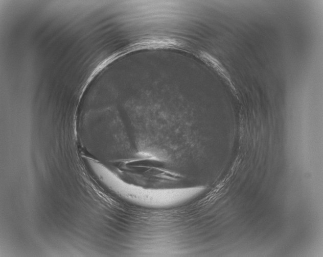 X0000053131226200508081309