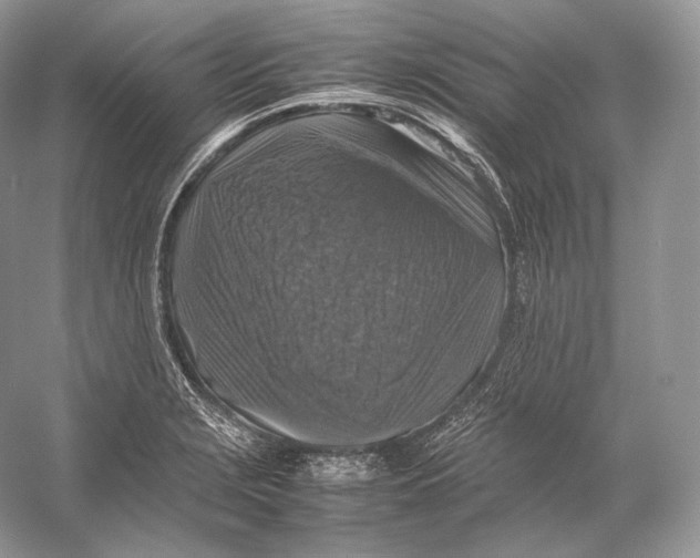 X0000053131229200508081309