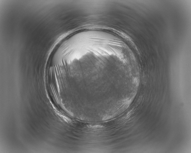 X0000053131231200508081309