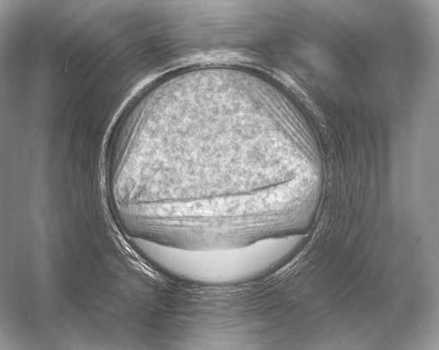 X0000053131232200508081309