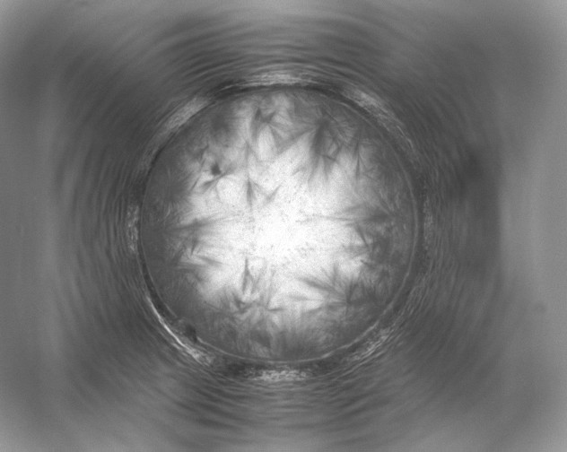 X0000053131233200508081309