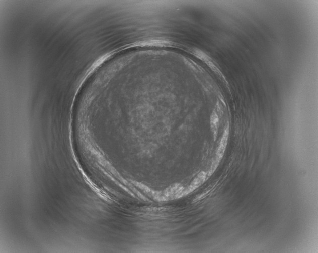 X0000053131237200508081309