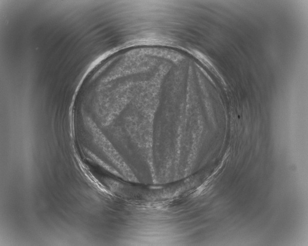 X0000053131238200508081309