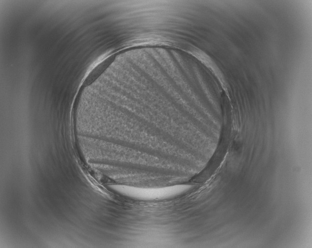 X0000053131242200508081309