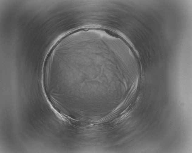 X0000053131245200508081309