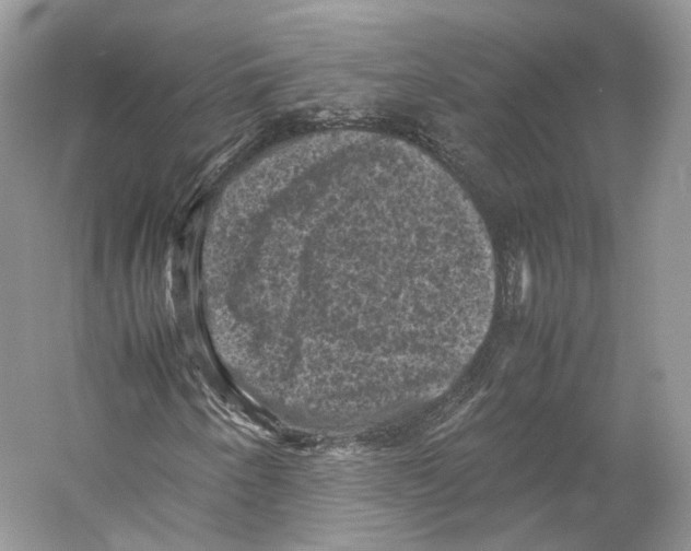 X0000053131250200508081309