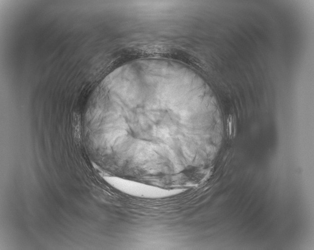 X0000053131251200508081309