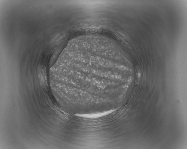 X0000053131252200508081309