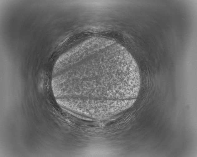 X0000053131253200508081309