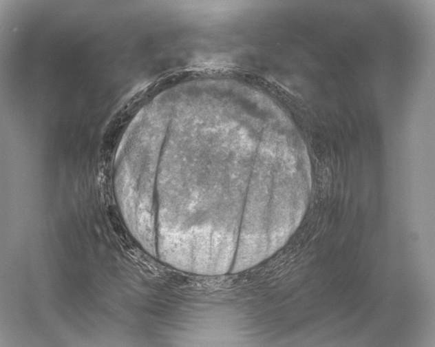X0000053131254200508081309